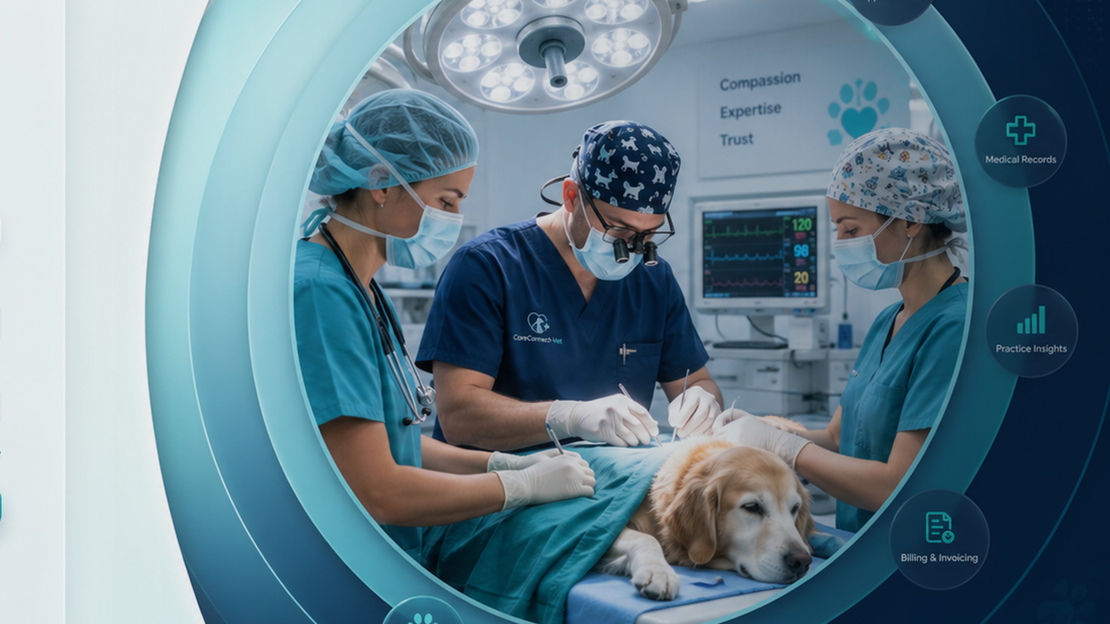 Veterinary practice scene 1